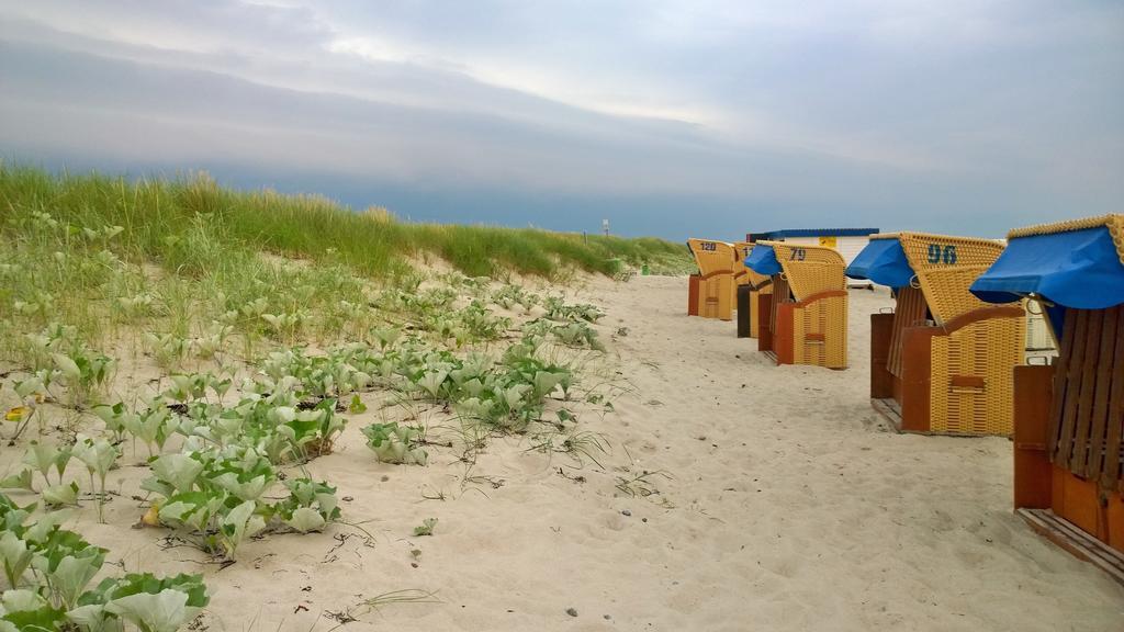 Ostsee Ferienappartement Dierhagen-Strand Exterior photo